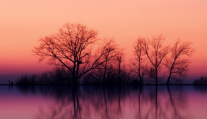 空调加氟多久加一次,空调加氟多久加一次比较好