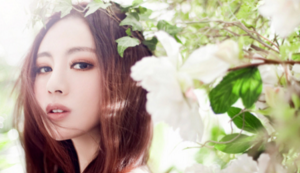 中央空调维修合同范本,中央空调维修合同样本